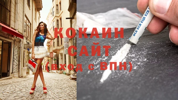 мдпв Киреевск