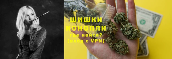 мдпв Киреевск