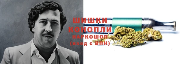 мдпв Киреевск