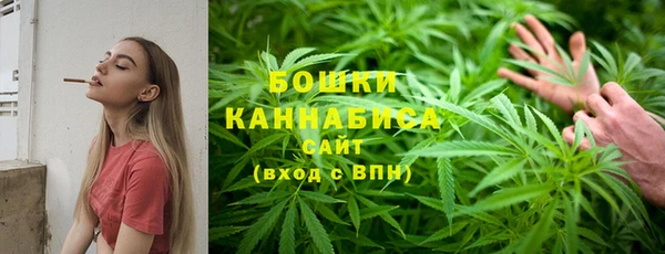 стафф Абаза