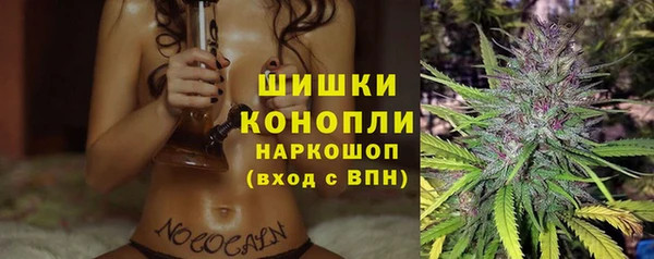 мдпв Киреевск