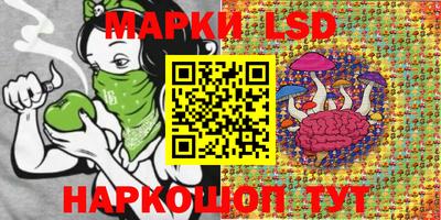 хмурый Гай