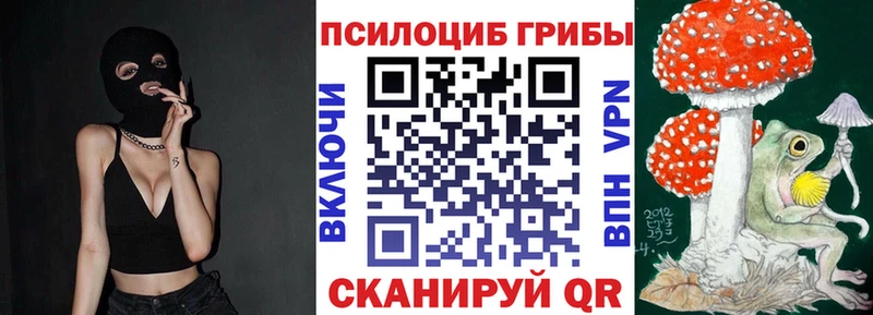 мега рабочий сайт  Ковров  Псилоцибиновые грибы GOLDEN TEACHER  дарнет шоп 