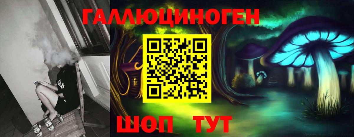 Ковров  Псилоцибиновые грибы Psilocybe  Вход с VPN 