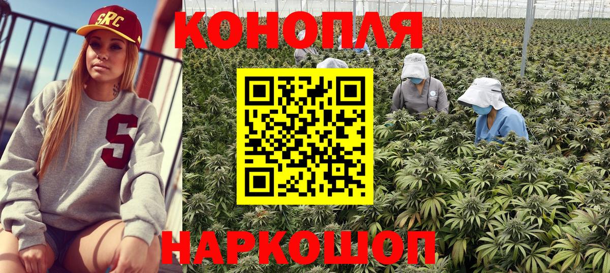 Ковров  Канабис SATIVA & INDICA  Вход с VPN  Канабис гибрид 